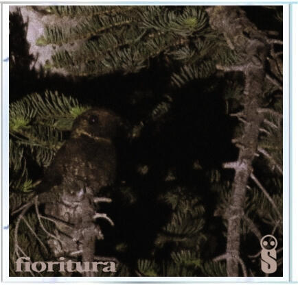 CD front cover CD front cover